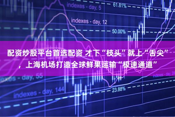 配资炒股平台首选配资 才下“枝头”就上“舌尖”，上海机场打造全球鲜果运输“极速通道”